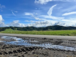 landscape with a small asphalt road and tire tracks in the mud