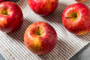 Organic Raw Red Envy Apples