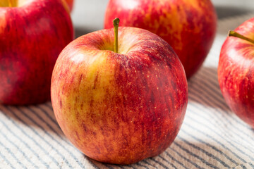 Organic Raw Red Envy Apples