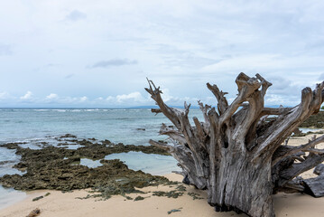 A coastline stretches endlessly, waves shaping land with timeless rhythm. An island rises solitary, surrounded by sea, holding secrets of nature, solitude, and boundless horizon’s charm.