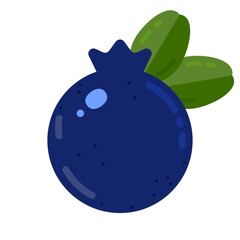 Blueberry Fruit Icon. Fresh sweet blueberry with leaves