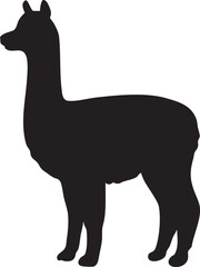 Black silhouette of a standing alpaca with a long neck isolated on white background silhouette