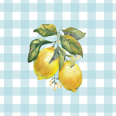 Hand-painted watercolor illustration of ripe yellow lemons with green leaves and small white blossoms, set against a light blue gingham (vichy check) background. Perfect for summer, kitchen decor