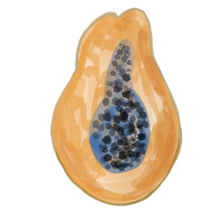 Fototapeta premium Hand drawn watercolor coastal sea themed illustration. Papaya 