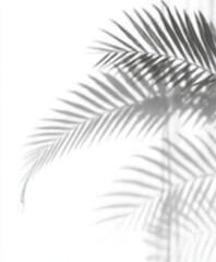 palm tree branch
