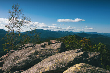 Dramatic mountain landscape with a rocky foreground covered in green creeping pine and juniper bushes, overlooking endless forested ridges and peaks under a blue sky with white clouds.