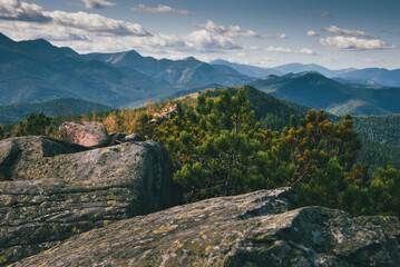 Dramatic mountain landscape with a rocky foreground covered in green creeping pine and juniper bushes, overlooking endless forested ridges and peaks under a blue sky with white clouds.