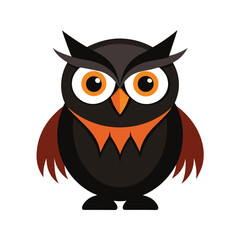 owl on white background