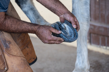 man's hands putting the horseshoe on the horse