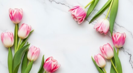 Elegant Pink Tulips with Green Stems Forming a Natural Frame on a White Marble Background