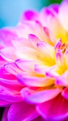 Fototapeta premium Vibrant Dahlia Close-up