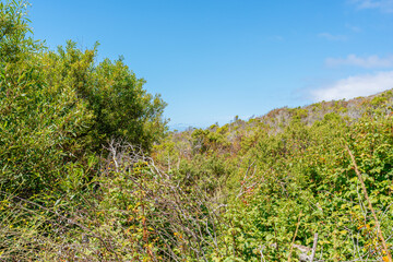 California countryside with mountains