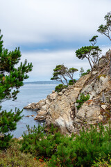 Point Lobos, California with ocean and forest