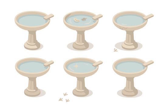 Healthy Birdbath Signs. Isometric vector illustration set Signs of Healthy Birdbath Use: clear water surface, feather tufts