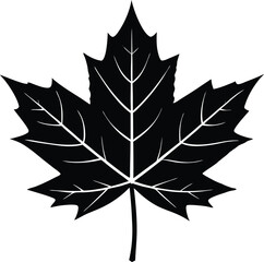 Maple Leaf Silhouette | Seasonal Nature Vector Art