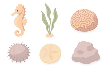 Obraz premium Marine Environment Icons. Isometric vector illustration set Marine environment: seahorse, kelp strand, brain coral, sea urchin,