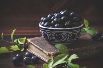 A Bowl of Blueberries in a Blue and White Bowl in a Dark Background and Room for Text