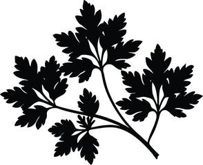 Parsley Herb Silhouette | Fresh Botanical Vector Design