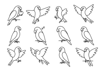 Fototapeta premium Cute parrot line art set: various poses and expressions