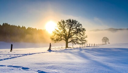 Winter sunrise over snowy field