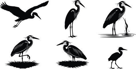 Silhouette heron illustration set, bird in flight, wetland scene, elegant wading poses, wildlife vector design