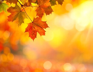 Obraz premium Blurred fall foliage bokeh backgrounds (great for text overlays). 
