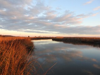 Wetland scene, peaceful tranquility, during the early morning, with natural reflections upon the calm water of the Leipsic River. Bombay Hook National Wildlife Refuge, Kent County, Delaware.   