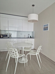 studio apartment interior. modern kitchen in white