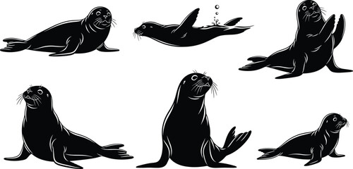 Seal silhouette illustration set, swimming pose, resting posture, underwater motion, flipper gesture, wildlife vector design © Bokul Creatives