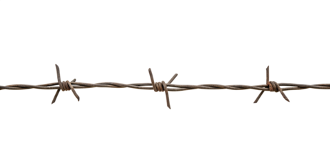 Barbed Wire: A detailed view of a length of barbed wire stretched taut against the bright. The image captures the rugged texture and metallic sheen of the wire, evoking a sense of boundary.