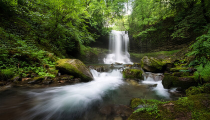 Naklejka premium Scenic Waterfall In Lush Green Forest
