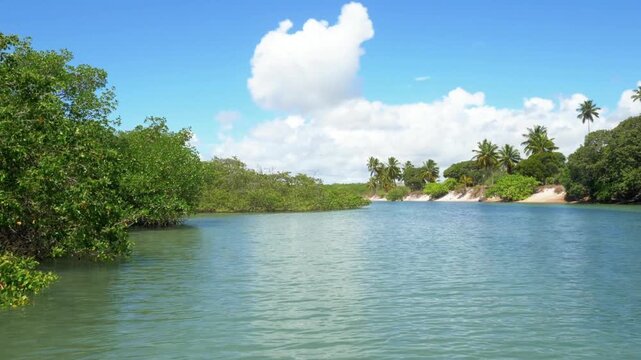 A serene river flows through a lush tropical landscape under a cloudy sky