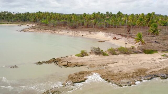 Waves crash against the rocky shore of a tropical beach with palm trees