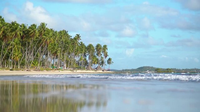 Palm trees are reflected in the wet sand of a tropical beach