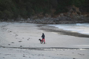 Promenade du chien sur une plage en Bretagne
