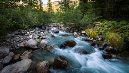 Obraz premium Mountain Creek With Clear Water Tumbling Over Rocks And Pebbles Surrounded By Wild Plants And Cool Tones