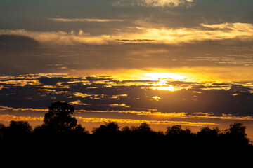 France - Mazeres - Sunset - Golden sun setting behind dark tree line