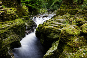A stream flowing through the forest mountain in Northern Ireland