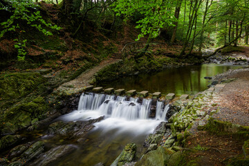 A stream flowing through the forest mountain in Northern Ireland