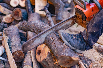 axe and firewood
A photo taken while cutting wood with a wood saw