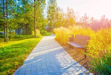 Pathway in Sunny Park With Wooden Bench, Tall Grass. Bright sunlight filters through trees in peaceful park, paved pathway leads past lush greenery and bench for relaxation. Public space landscaping.