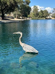great blue heron ardea alba