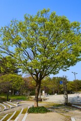 庄内空港緩衝緑地 ／ 山形県庄内空港ターミナル前に広がる緑地ゾーン