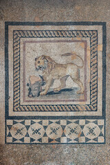 Turkey - Ephesus - Terrace Houses Lion and Bull Mosaic
