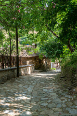 Turkey - Şirince - Stone Pathway in the Village