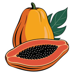 Isolated abstract cartoon papaya fruit tropical exotic food design vector illustration healthy ingredient element flat style drawing