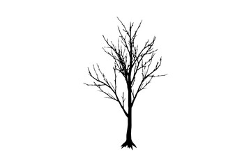 Striking Bare Tree Silhouette, Isolated 64x64 Single Icon, conveying a sense of winter or a leafless season, perfect for atmospheric design.