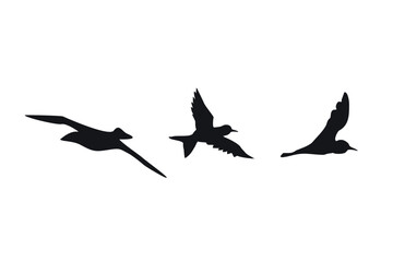 basic silhouettes of birds in flight