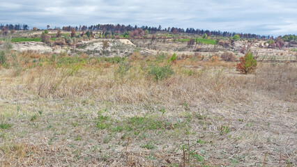 Une colline dont la végétation a été carbonisée par un feu de forêt.