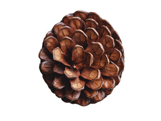 Beautiful Natural Pine Cone for Holiday Decor or Crafting